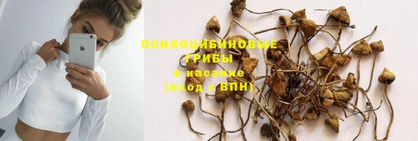 дурь Аркадак