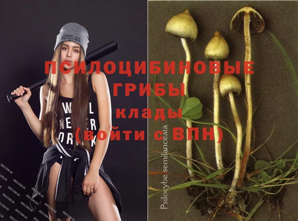 винт Дмитриев
