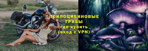 прущий лед Дмитровск